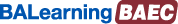 Business Analysis Essentials with AI Certified (BAEC)